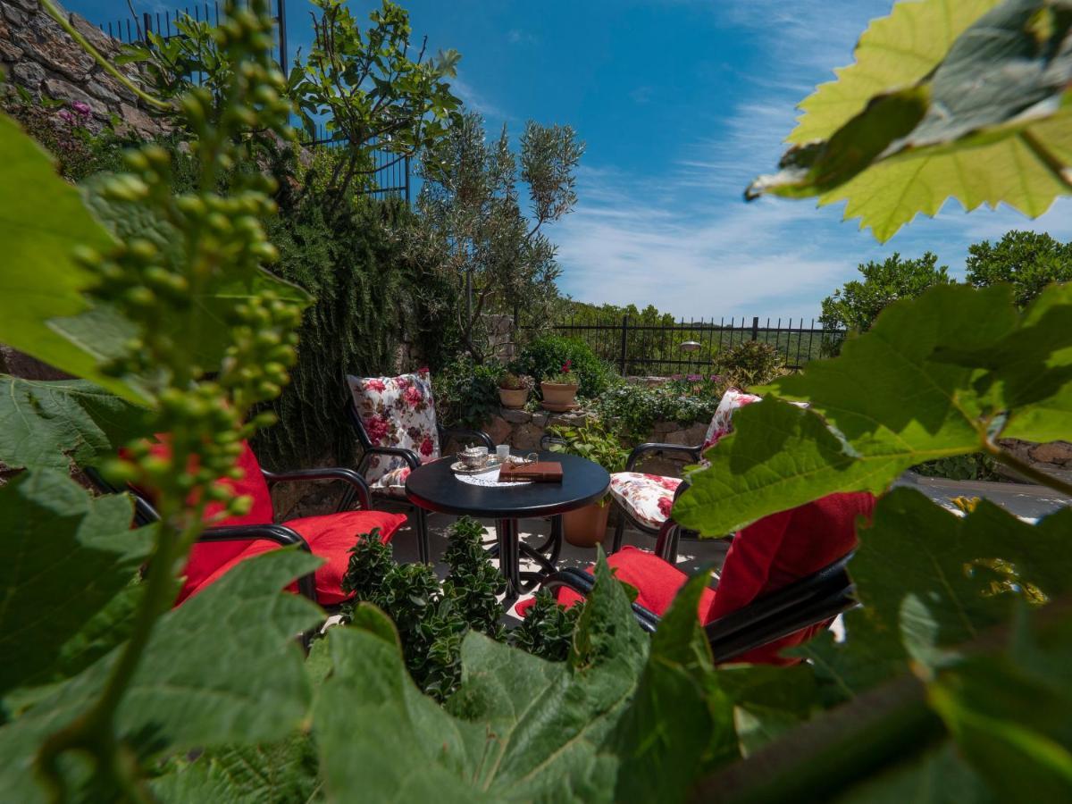 Villa Miracle Zagora Budva