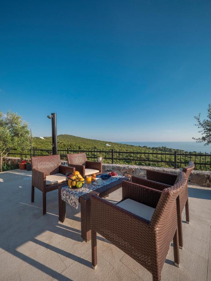 Villa Miracle Zagora *